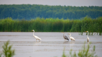 Fotky na web(37).png