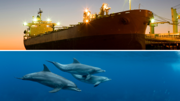 Fotky na web(42).png