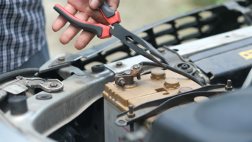 Fotky na web(48).png