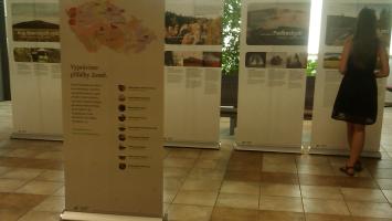 IMG_20180821_155051 Cropped.jpg