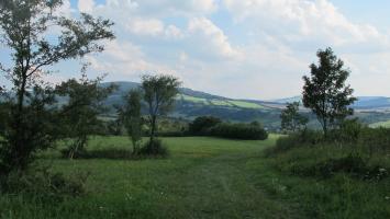 IMG_2757 Cropped.jpg