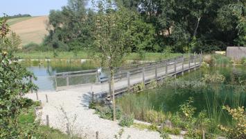 IMG_7926 Cropped.jpg