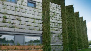 JMK_LIKOS_15 Cropped.jpg