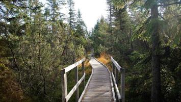 Krusne hory Bozi dar1.jpg