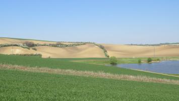 Kyjovsko_arable_water_GI Cropped.jpg