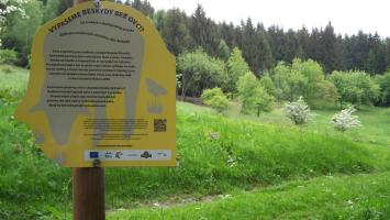 LIFE_foto Cropped.jpg