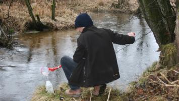 Malsemuschel Cropped.jpg