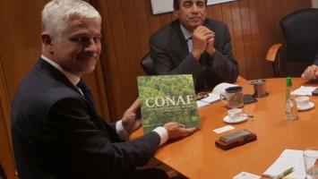 Mana_chile Cropped.jpg