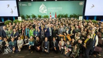 Montreal Cropped.jpg