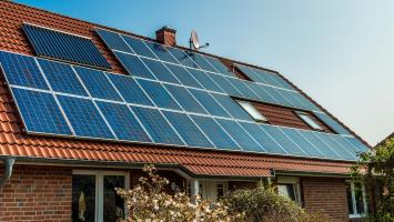 NZU_NZUL Cropped.jpg