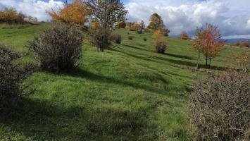 PPK_zvonickov Cropped.jpg