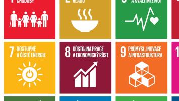 SDGS, all-01 Cropped.jpg