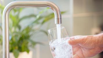 SOVAK Cropped.jpg