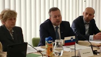 Slovinsko Cropped.jpg