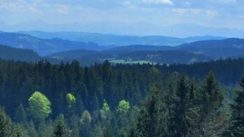 Stare Hamry (1) Cropped.jpg