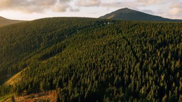 Zprava_2022 Cropped.jpg