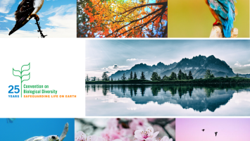 biodiverzita Cropped.png