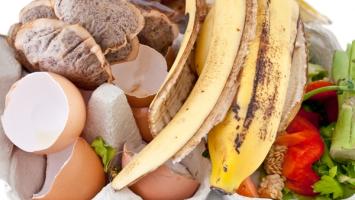 bioodpad_foto Cropped.jpg