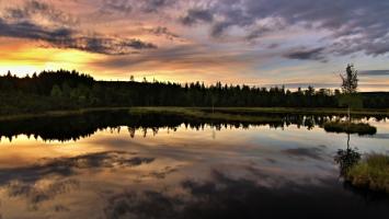 chalupska slat Cropped-1.jpg