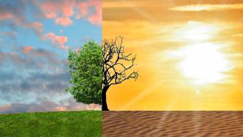 climate-change-gebf958d02_1280.jpg