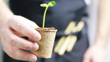 ekoaudit Cropped.jpg