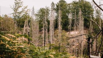 img_ceske svycarsko.jpg