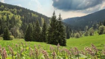 jaro_cropped Cropped.jpg