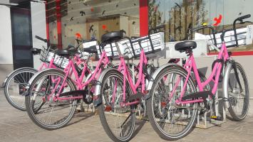 kola_bikesharing Cropped.jpg