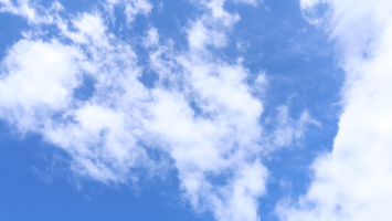 kveten Cropped.png