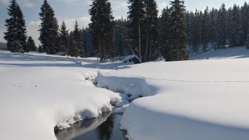 natur.jpg