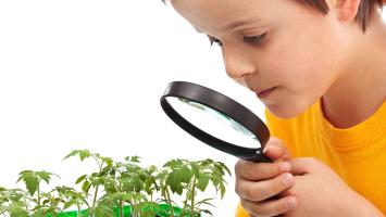 opzp_vyzvy Cropped.jpg