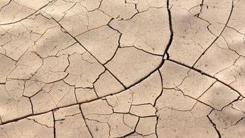 pexels-photo-3345891 Cropped.jpg