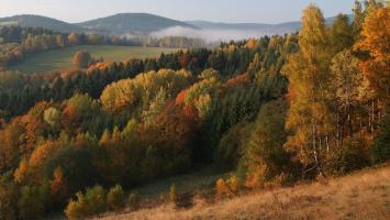 podzim_Sumava Cropped.jpg