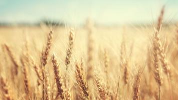 protierozni Cropped.jpg