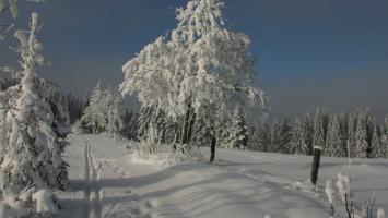 sumava.jpg