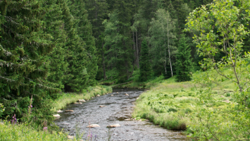 vestnik 1 Cropped.png