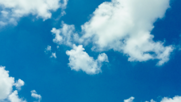 vestnik 3 Cropped.png