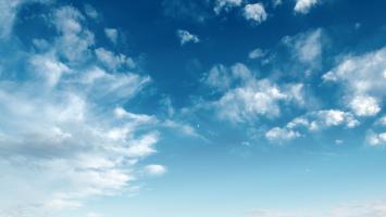 vestnik 8n Cropped.jpg