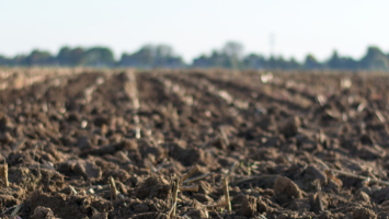 vestnik2 Cropped.png