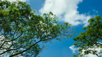 vestnik_9 Cropped.png