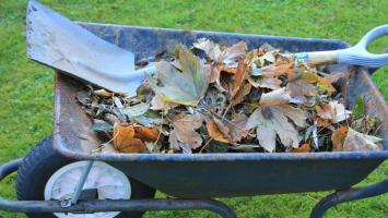 wheelbarrow-3794784_1280.jpg