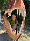 Dinopark