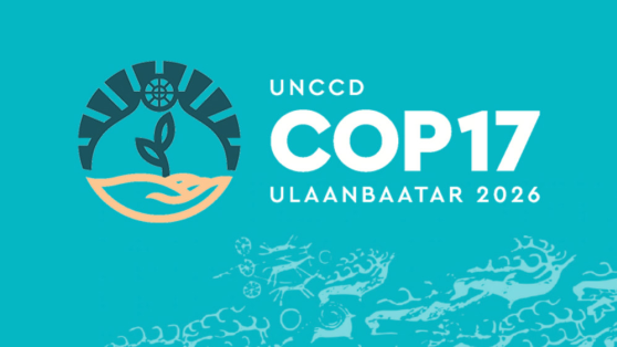 COP17