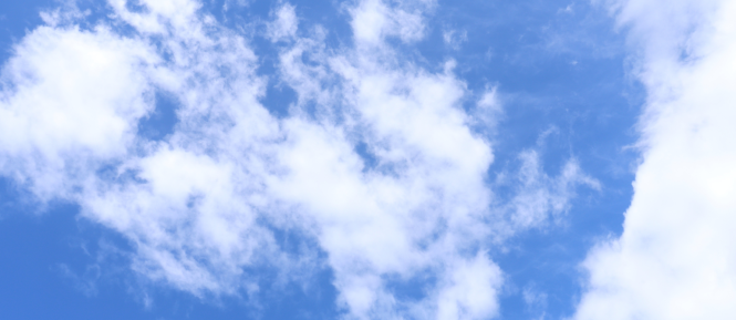 kveten Cropped.png