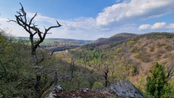mzp_krivoklatsko_14520252